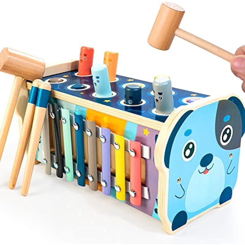 KIDWILL Wooden Hammering Pounding Toy Review: A Treasure Trove of Learning