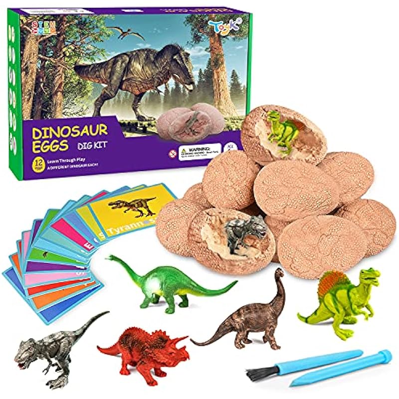 Digging Up Fun: A Review of the Dig Up Dinosaur Fossil Eggs by Toyk