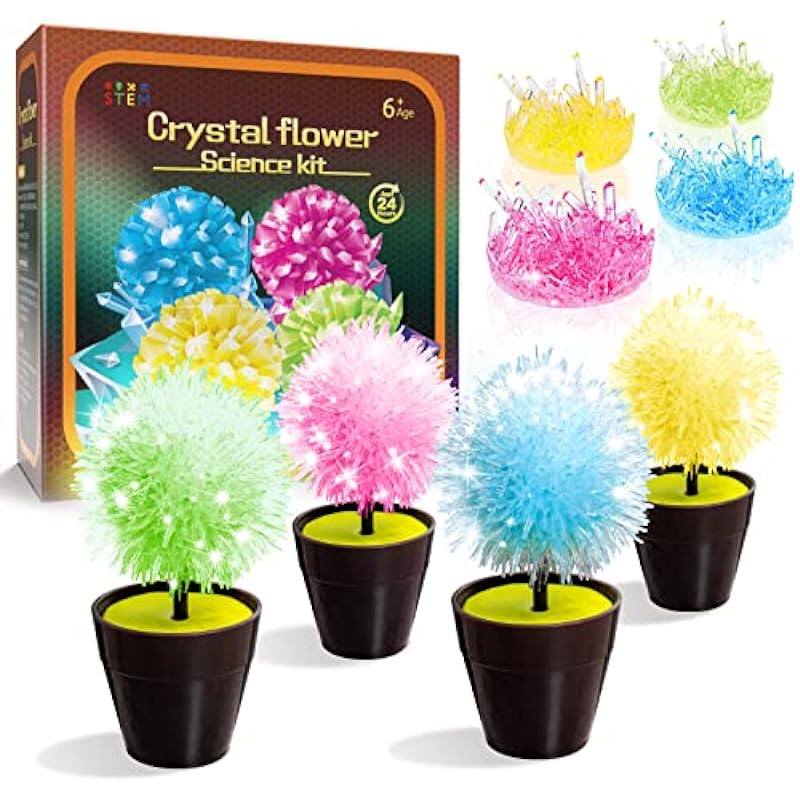 SOLMOD Crystal Growing Kit Review: A Magical Educational Journey