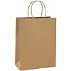 BagDream 10x5x13 Kraft Shopping Bags: An Eco-Friendly and Versatile Choice