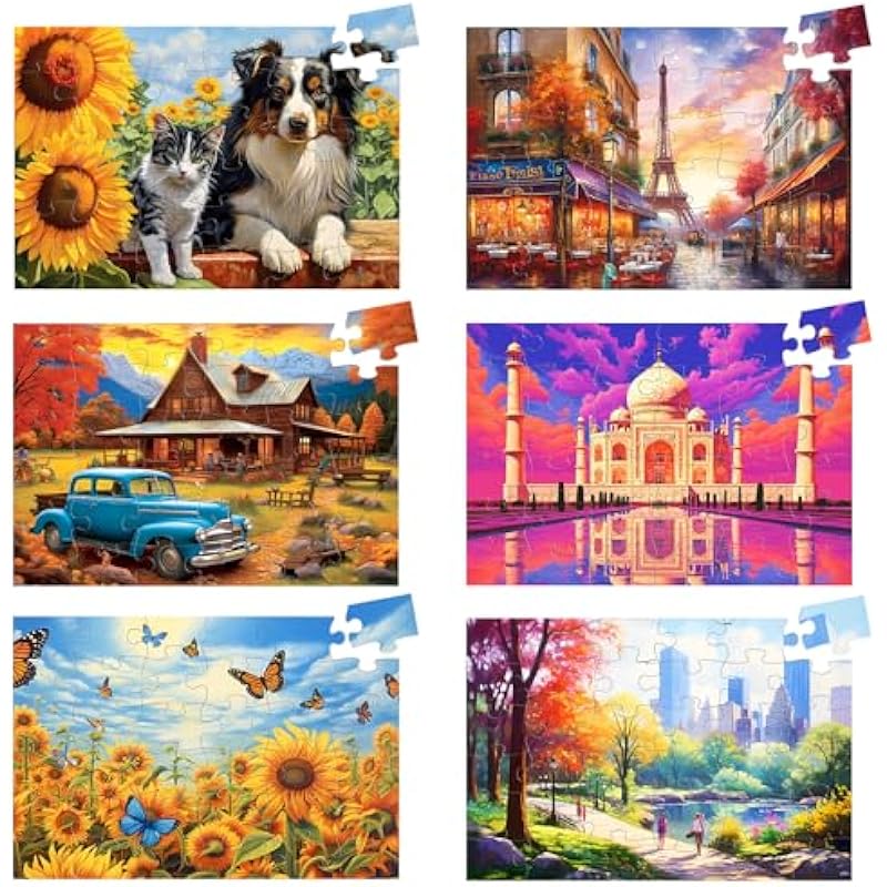 Biarek 6 Pack 36 Large Piece Puzzles: A Therapeutic Gift for Seniors