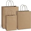 BagDream Kraft Paper Bags Review: Eco-Friendly, Durable, and Versatile