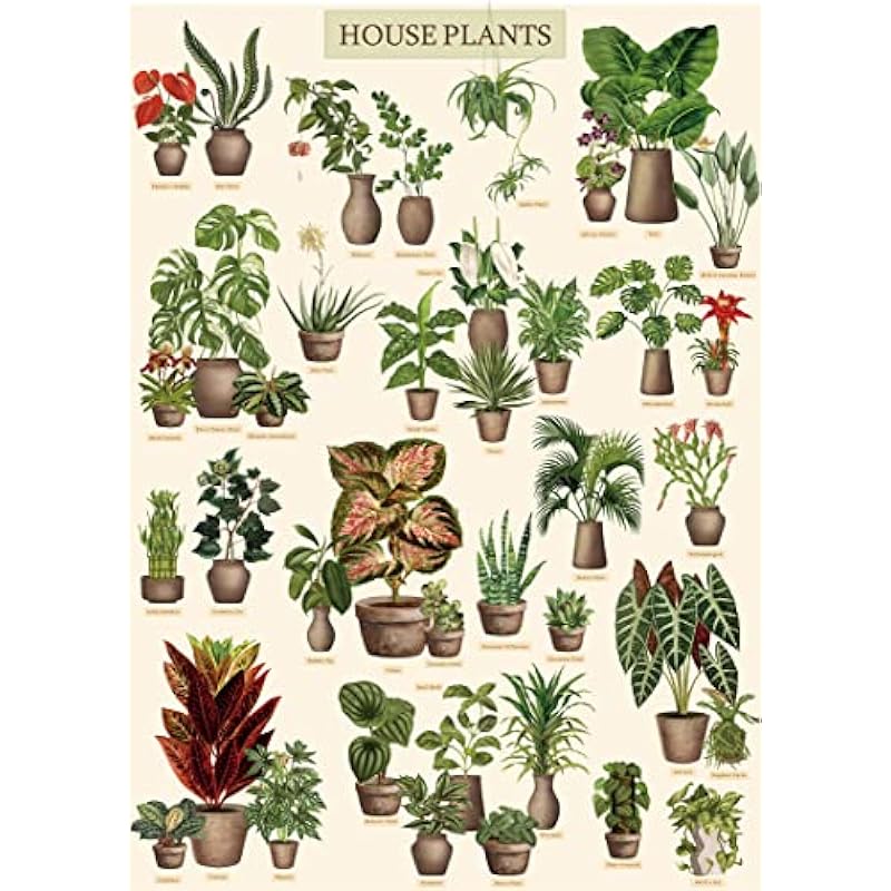 Vintage Houseplant Puzzle Review: A Must-Have for Puzzle and Plant Lovers