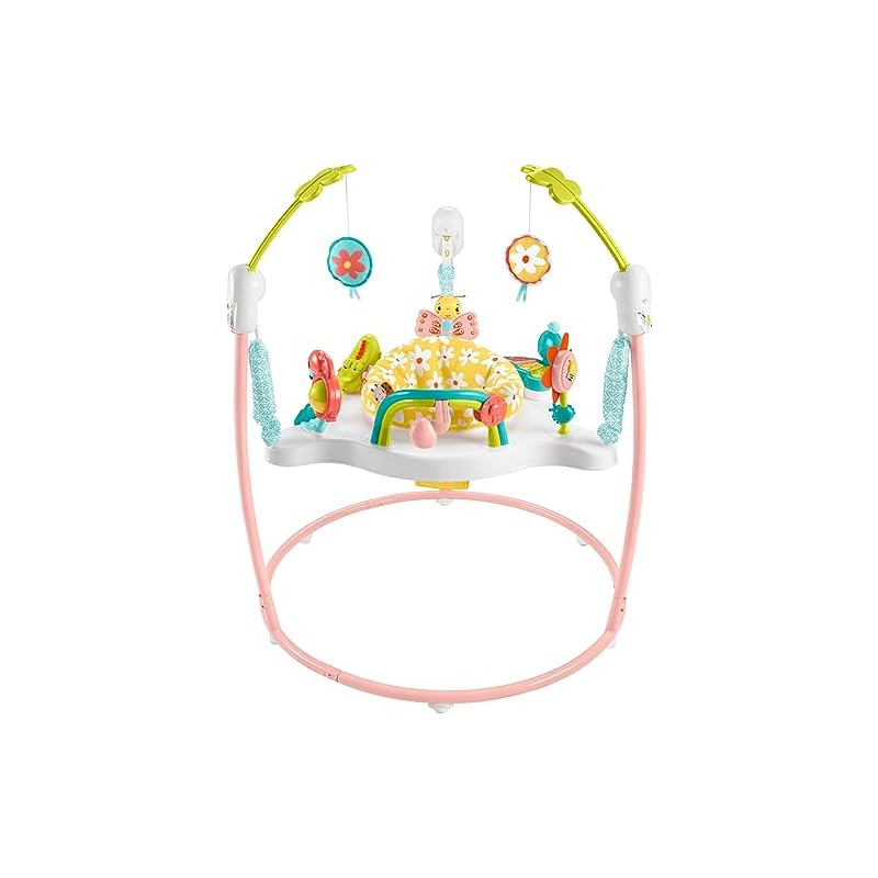 Fisher-Price Baby Bouncer Activity Center Blooming Fun Jumperoo Review