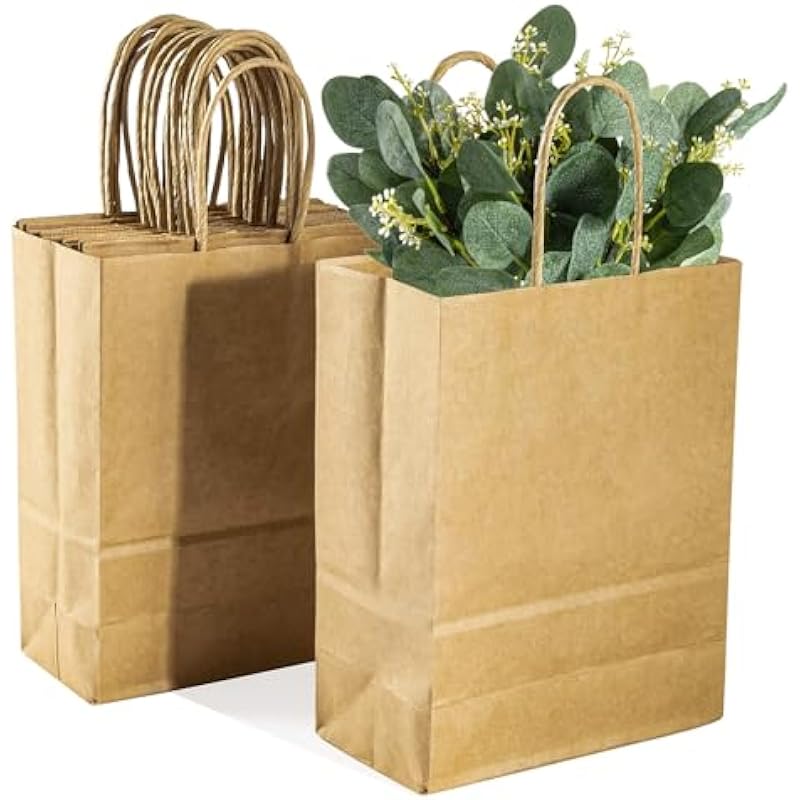 MAQIHAN Small Kraft Bags Review: The Perfect Blend of Style and Sustainability