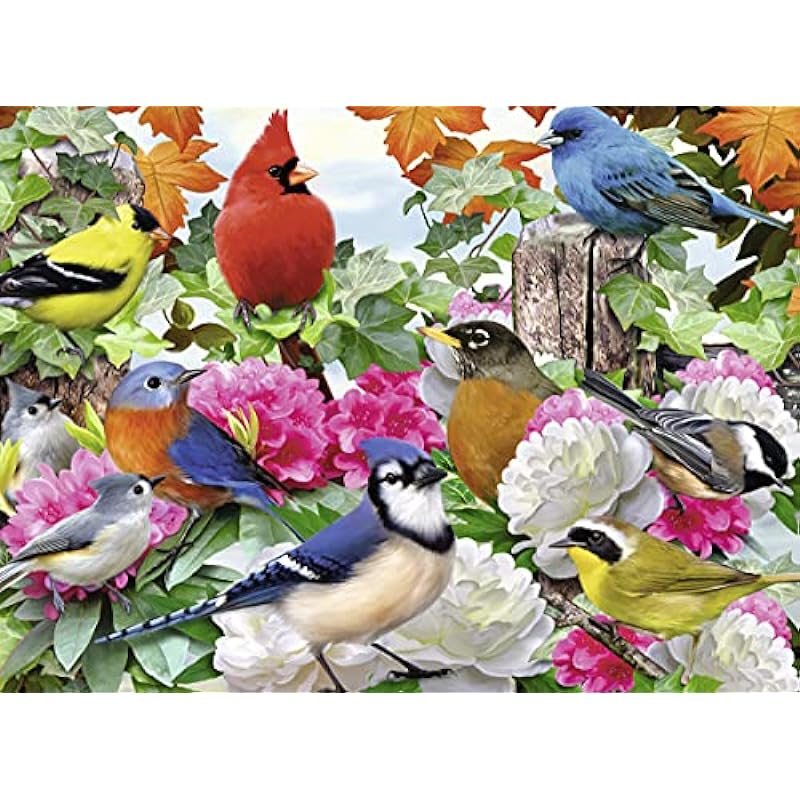 Ravensburger Garden Birds 500 Piece Jigsaw Puzzle Review