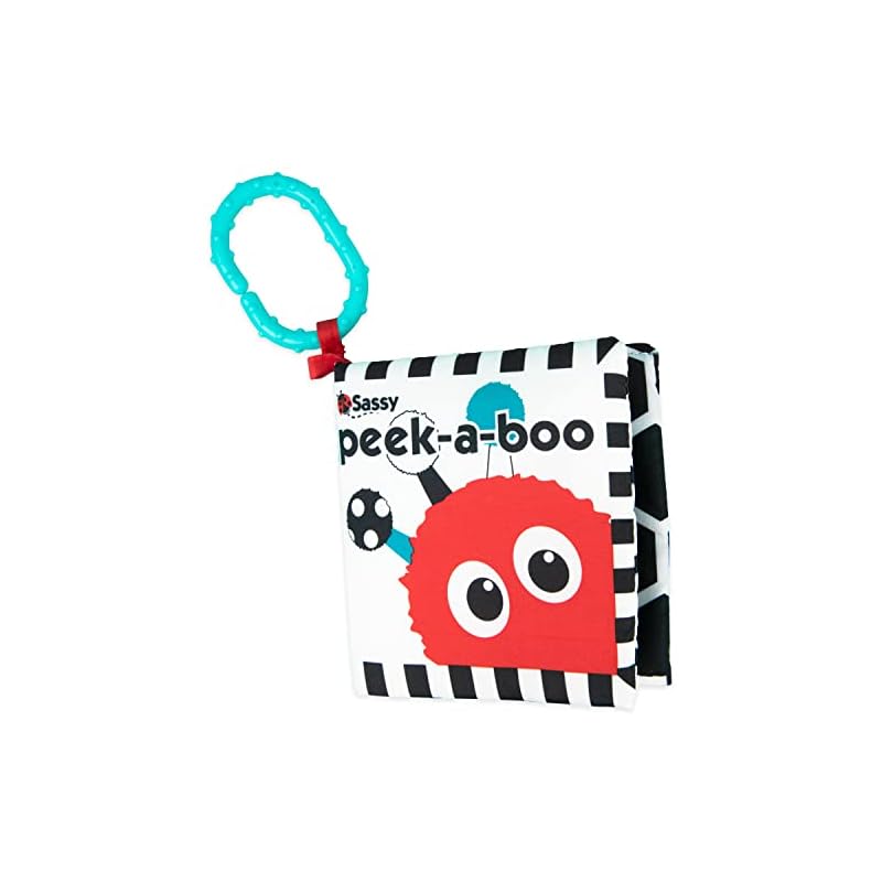 Sassy Peek-a-Boo Activity Book Review: A Treasure Trove of Learning and Fun