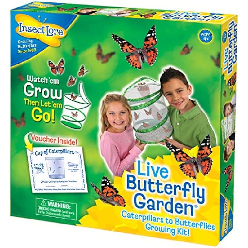 Painted Lady Butterfly Kit Review: A Fascinating Educational Journey