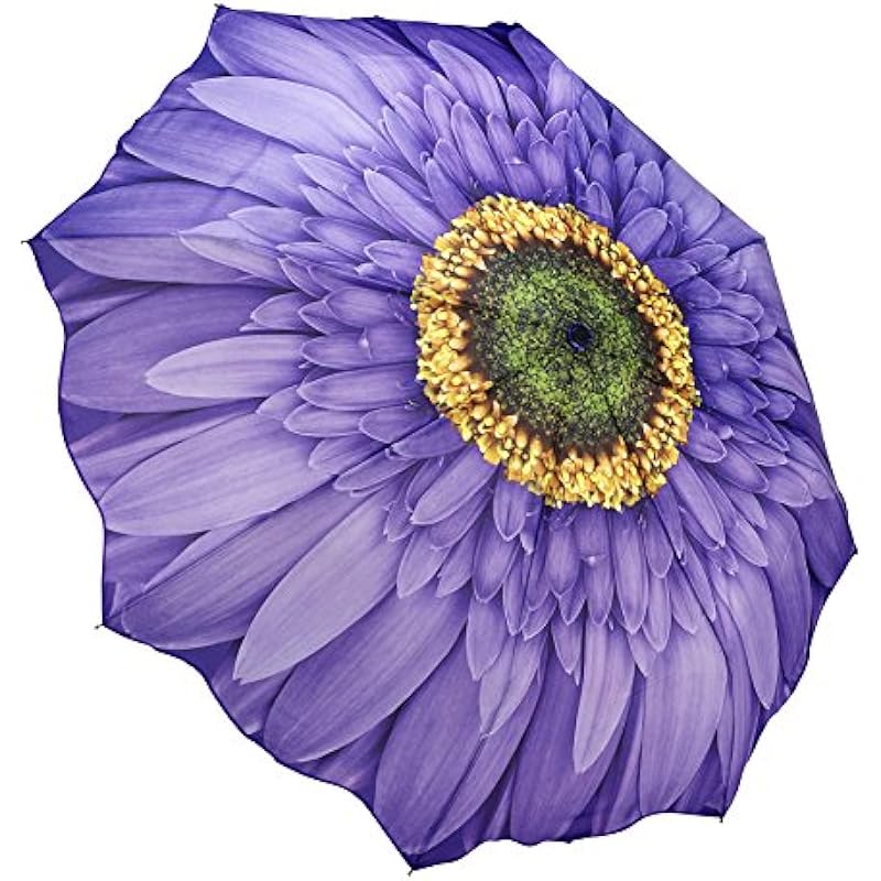 Galleria Purple Daisy Umbrella Review: Where Style Meets Functionality