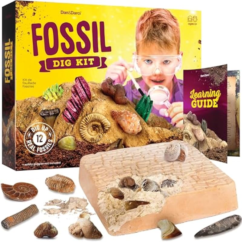 Dan&Darci Fossil Dig Kit Review: A Mesmerizing Journey Into Paleontology